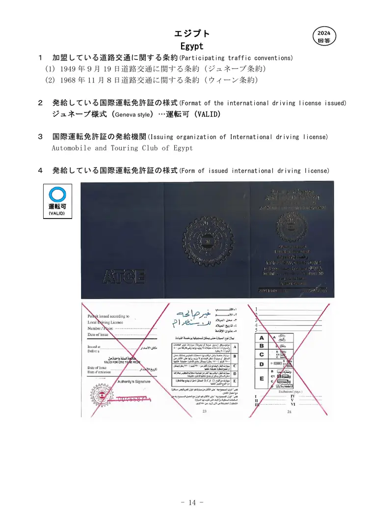 Official reference image for Egypt